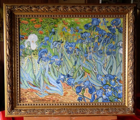 Les iris